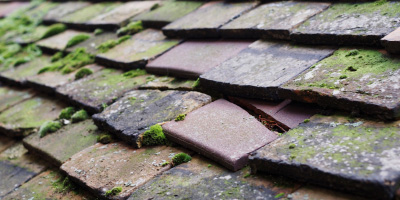 Awkley roof repair costs
